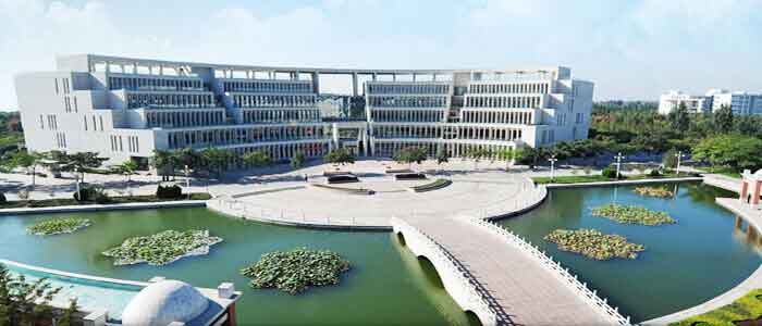 Shandong University medical university